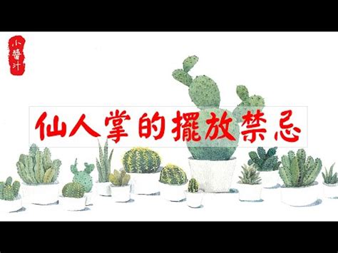 陽台放仙人掌|後陽台仙人掌擺放技巧